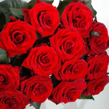 Μπουκέτο με 12 κόκκινα τριαντάφυλλα