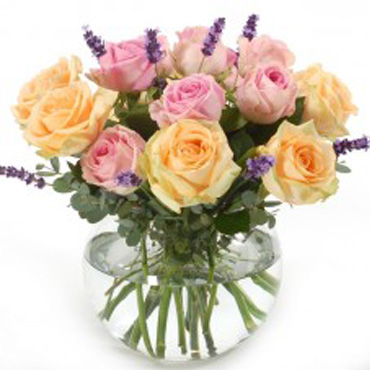 Roses in pastel colours